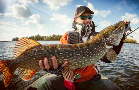 Fish Bomb is Easy